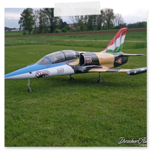 Flieger Albatros Airbrush